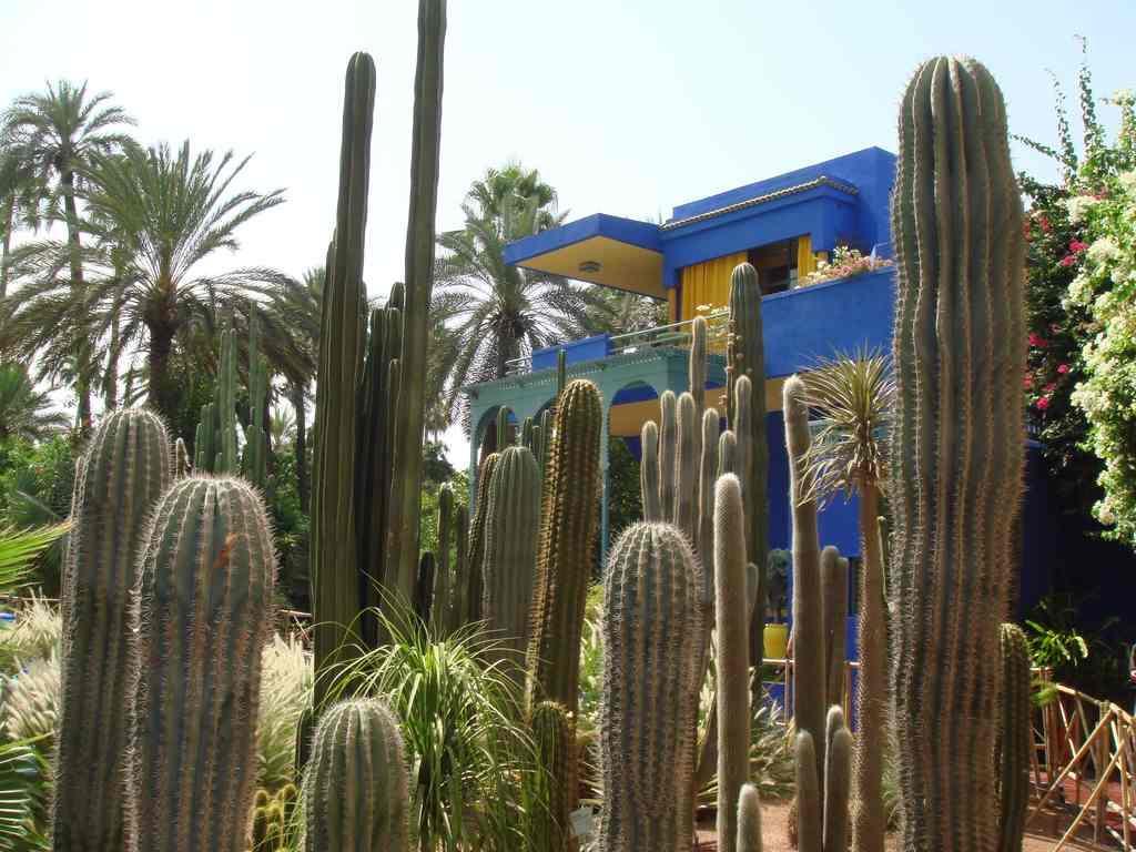 Appart Avec Vue Jardin/Majorelle Marrakesh Ngoại thất bức ảnh
